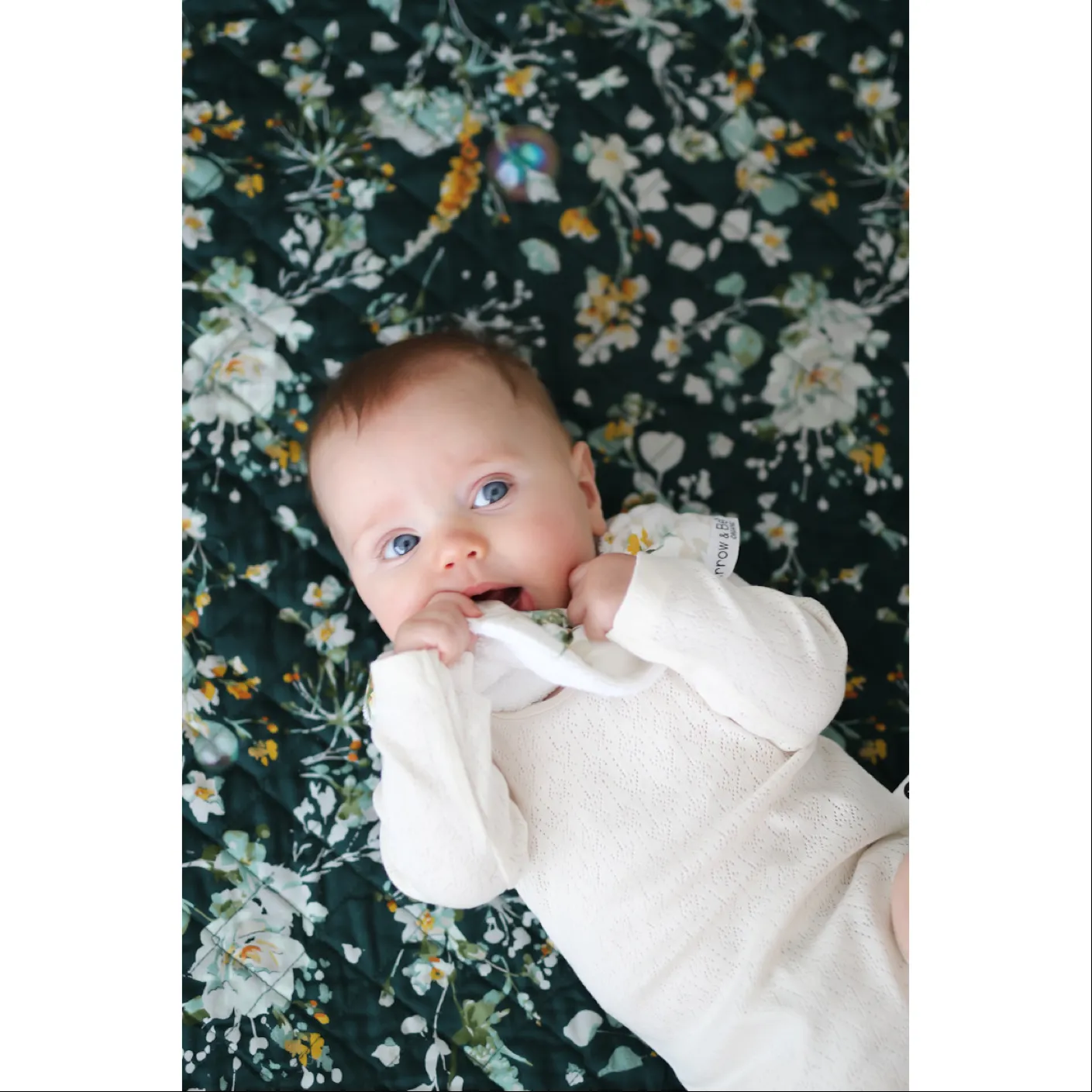 Burrow & Be Pointelle Long Sleeve Bodysuit - Natural