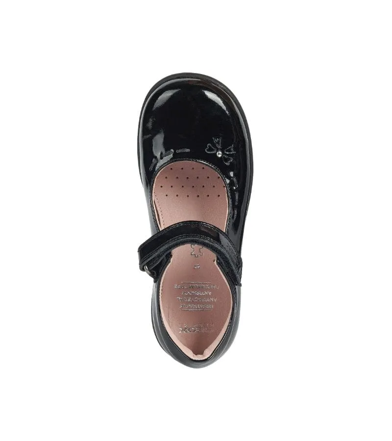 Geox Junior Girls Black School Shoe J16FHA