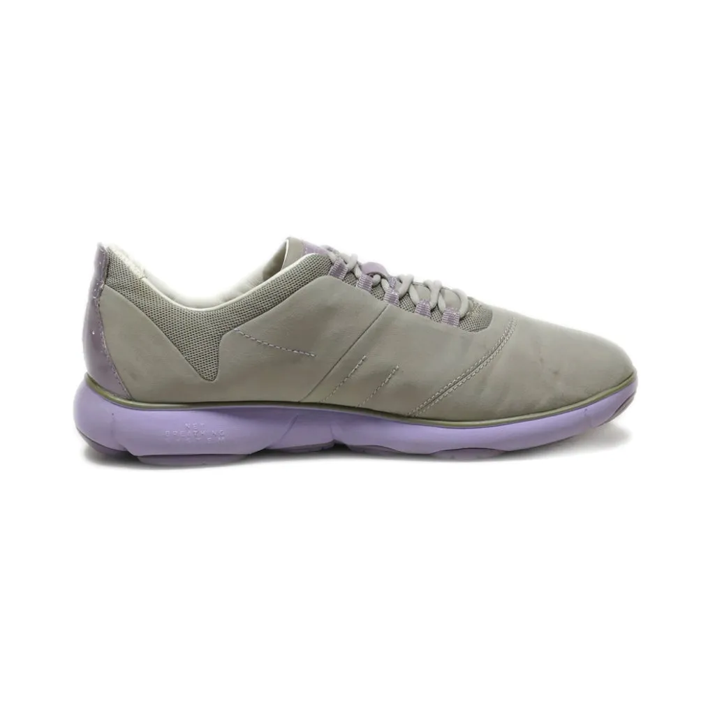 Geox Lace Ups Fabric Grey Colour For Women