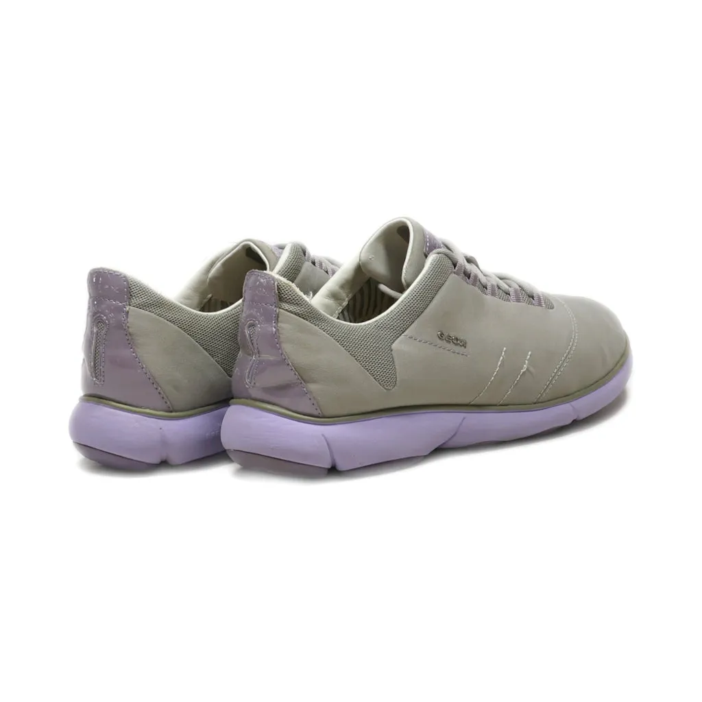Geox Lace Ups Fabric Grey Colour For Women