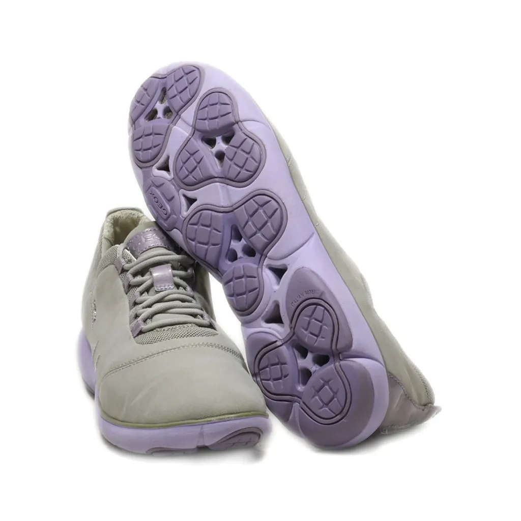 Geox Lace Ups Fabric Grey Colour For Women