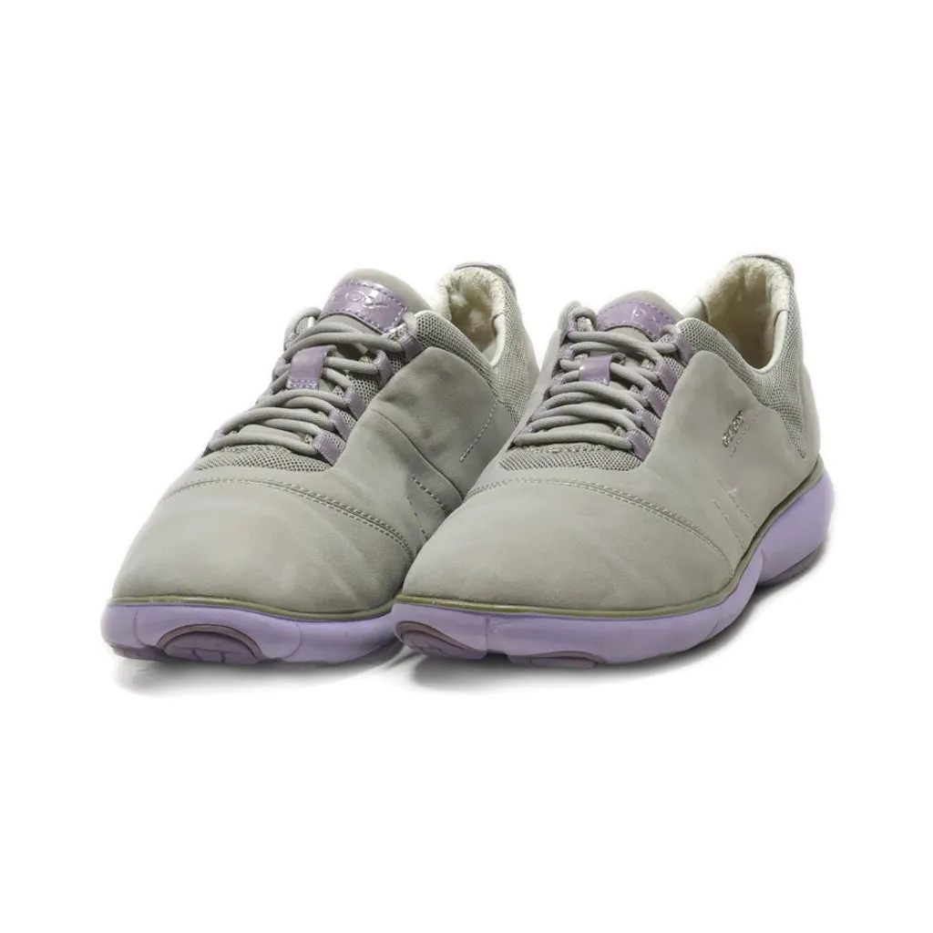 Geox Lace Ups Fabric Grey Colour For Women